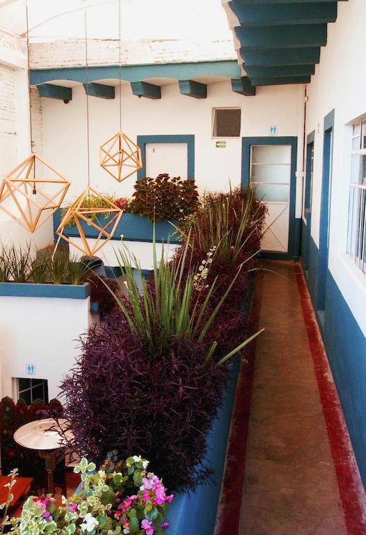 بيت شباب Blue Bicycle House كويريتارو المظهر الخارجي الصورة