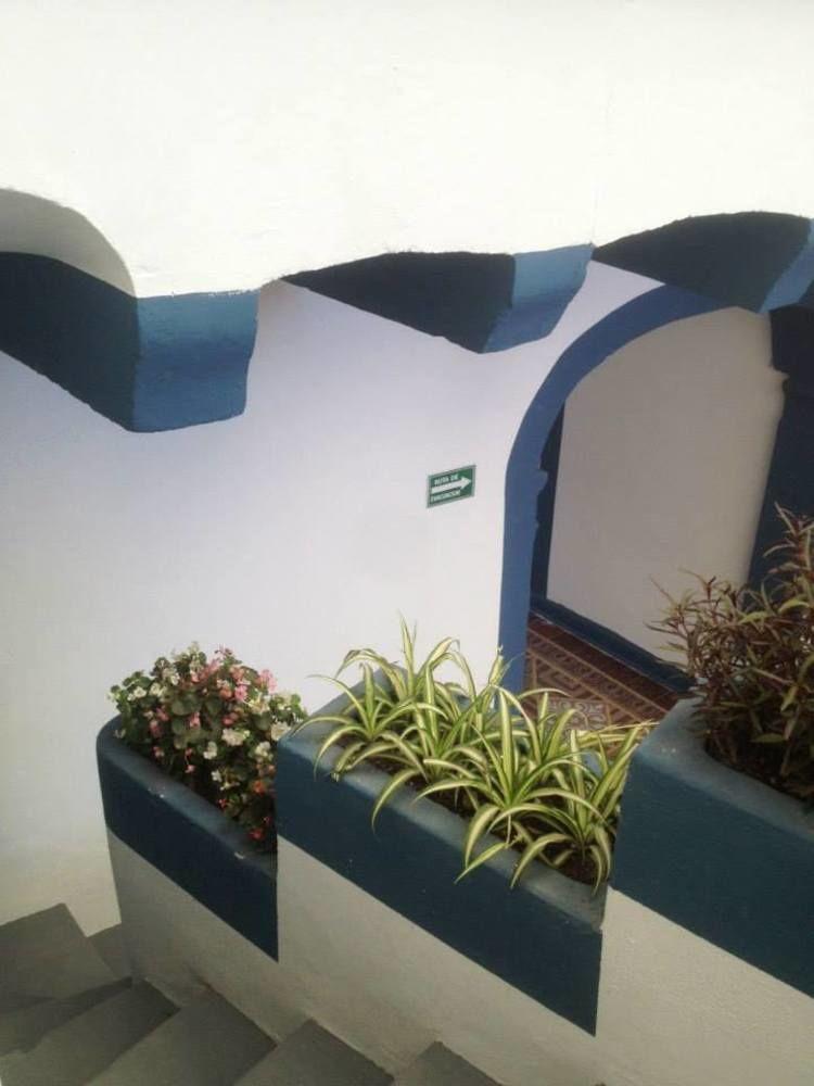 بيت شباب Blue Bicycle House كويريتارو المظهر الخارجي الصورة